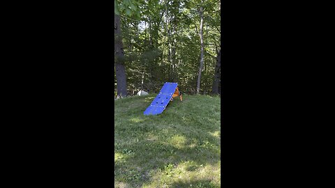 Bike jump