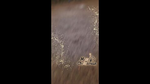 Got to the camp Christmas morning and this is what I saw.