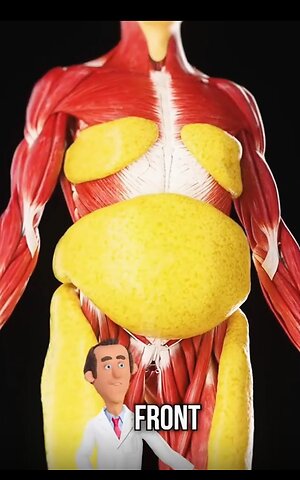 What happens if you don't eat for a whole day explain by dr cool 😎 Sorry about language