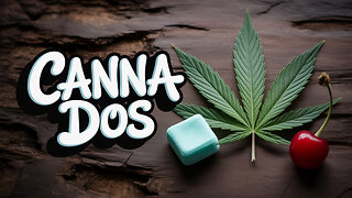 GUSH MINTZ GOT ME GIGGLIN’ & GONE 😵‍💫🌬️💨 | CANNA DOS WENT CRAZY WITH THIS ONE! 😭🔥