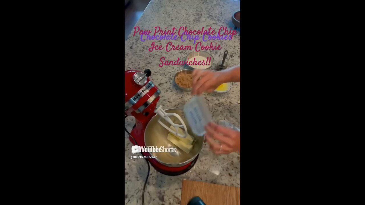 Chocolate Chip Ice Cream Cookie Sandwiches