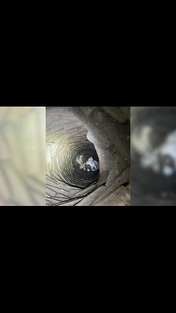 MAN HEARS BIZARRE NOISES UNDERGROUND 🕳️ DIGS 6 FEET AND FINDS SOMETHING HE CAN'T EXPLAIN