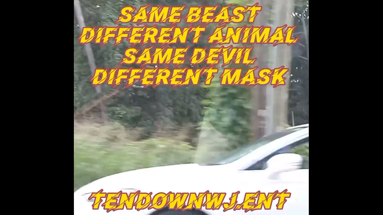 TenDown WJ Ent