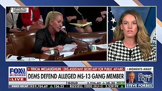 'PRETTY ALARMING': Tricia McLaughlin says it 'must be horrible' to be a constituent of this Dem lawmaker