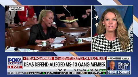 'PRETTY ALARMING': Tricia McLaughlin says it 'must be horrible' to be a constituent of this Dem lawmaker