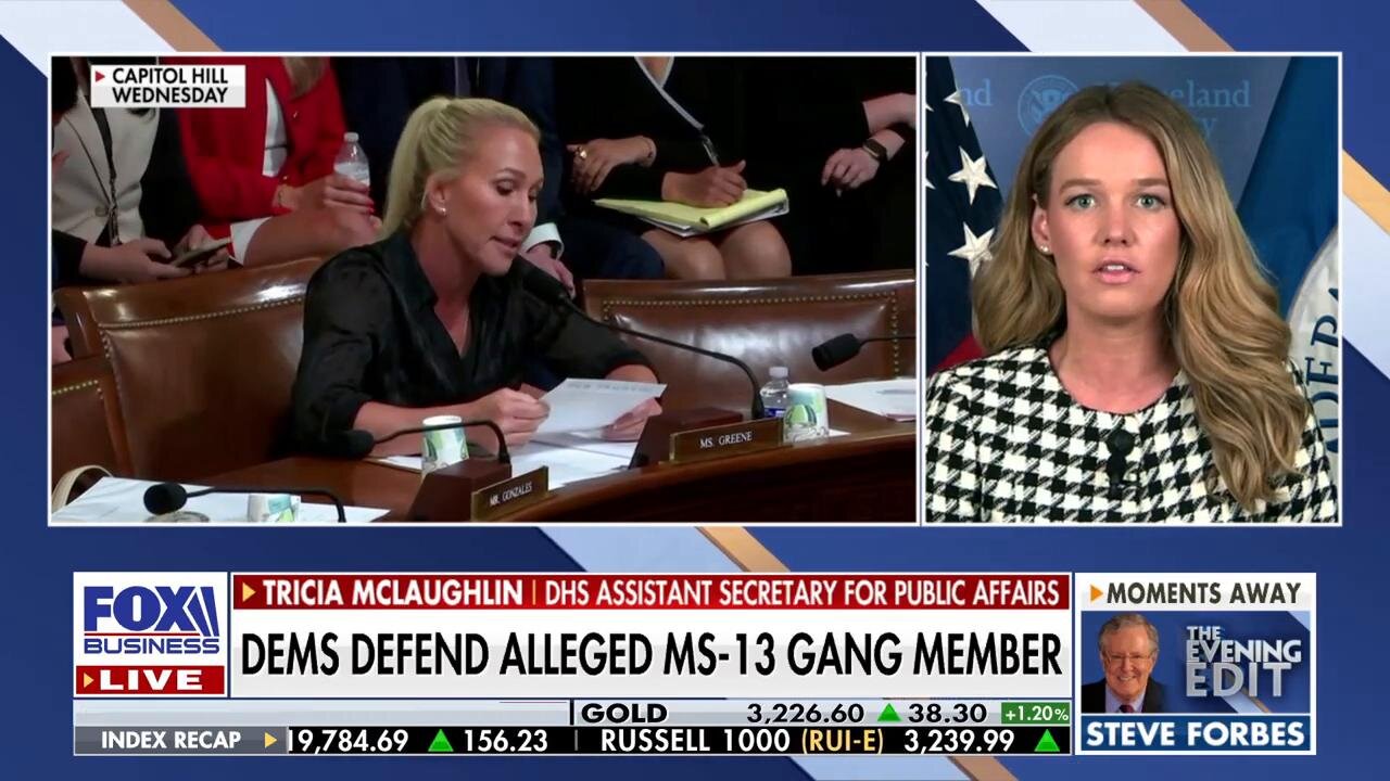 'PRETTY ALARMING': Tricia McLaughlin says it 'must be horrible' to be a constituent of this Dem lawmaker