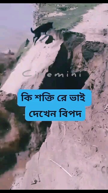 NEWSMAX2 LIVE | Real News for Real People? Too funny!How cute is that.. | Please Follow me