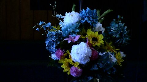 Father's Day 6/15/25