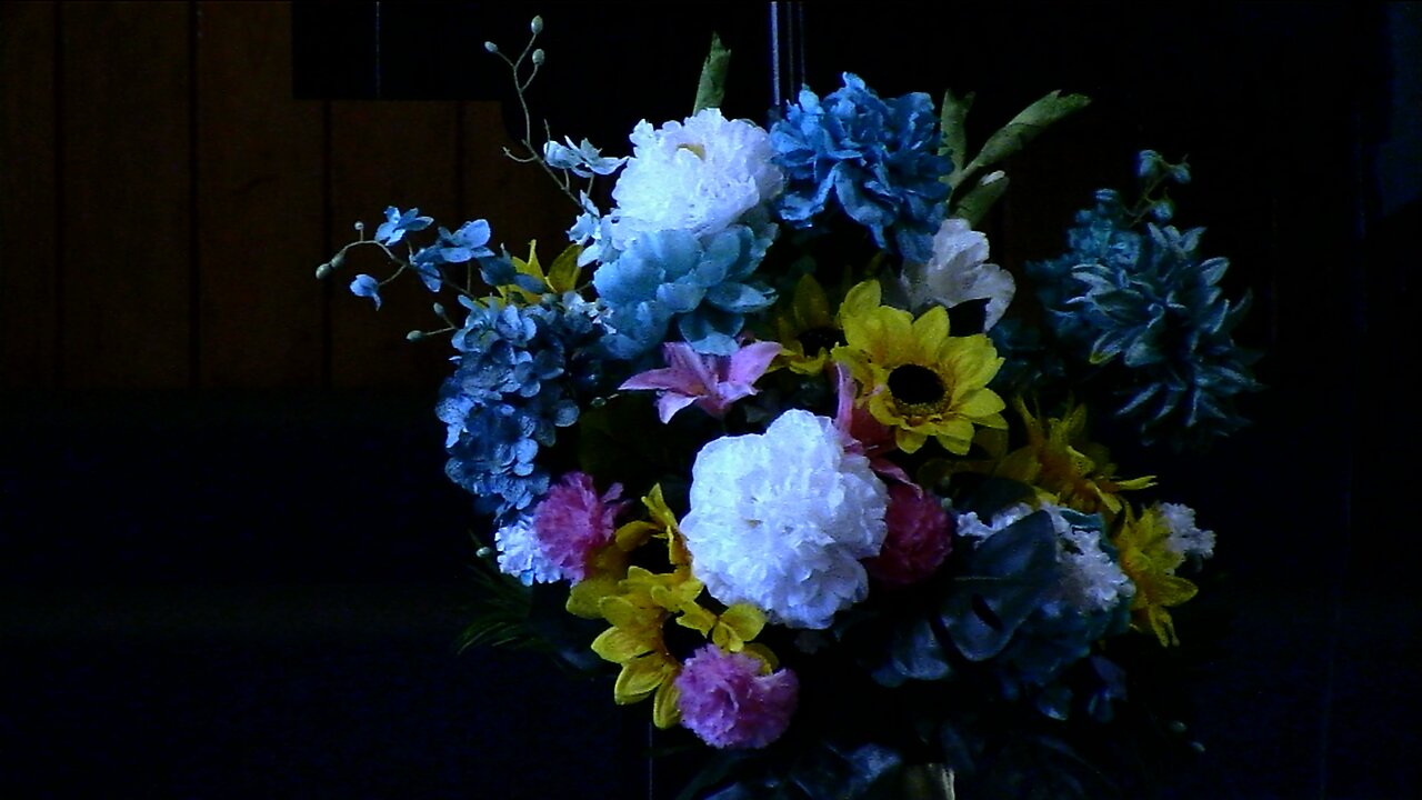 Father's Day 6/15/25