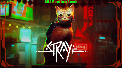 😼 Stray – Video Game | PS5 (PlayStation 5) – Cat Videogame (Videogame about Cats) #catmom #catlovers