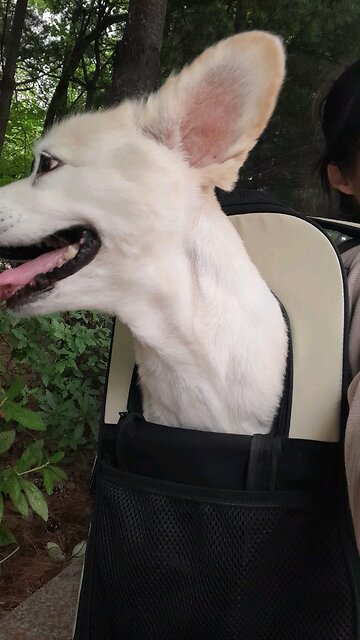 20250724. They will rejoice in the bounty of the LORD.