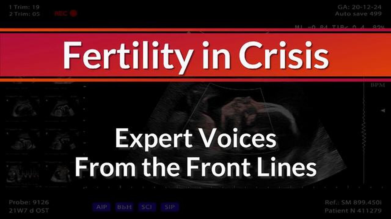 Fertility in Crisis: Expert Voices From The Front Lines