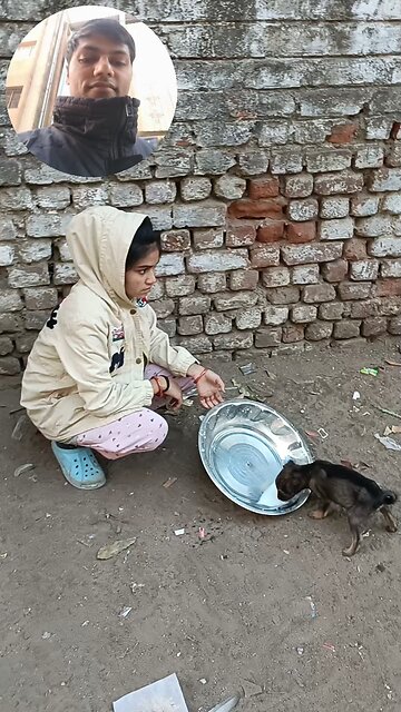 jivdaya mehsana Gujarat