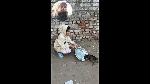 jivdaya mehsana Gujarat