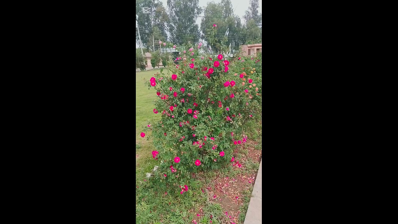 Beauty of nature
