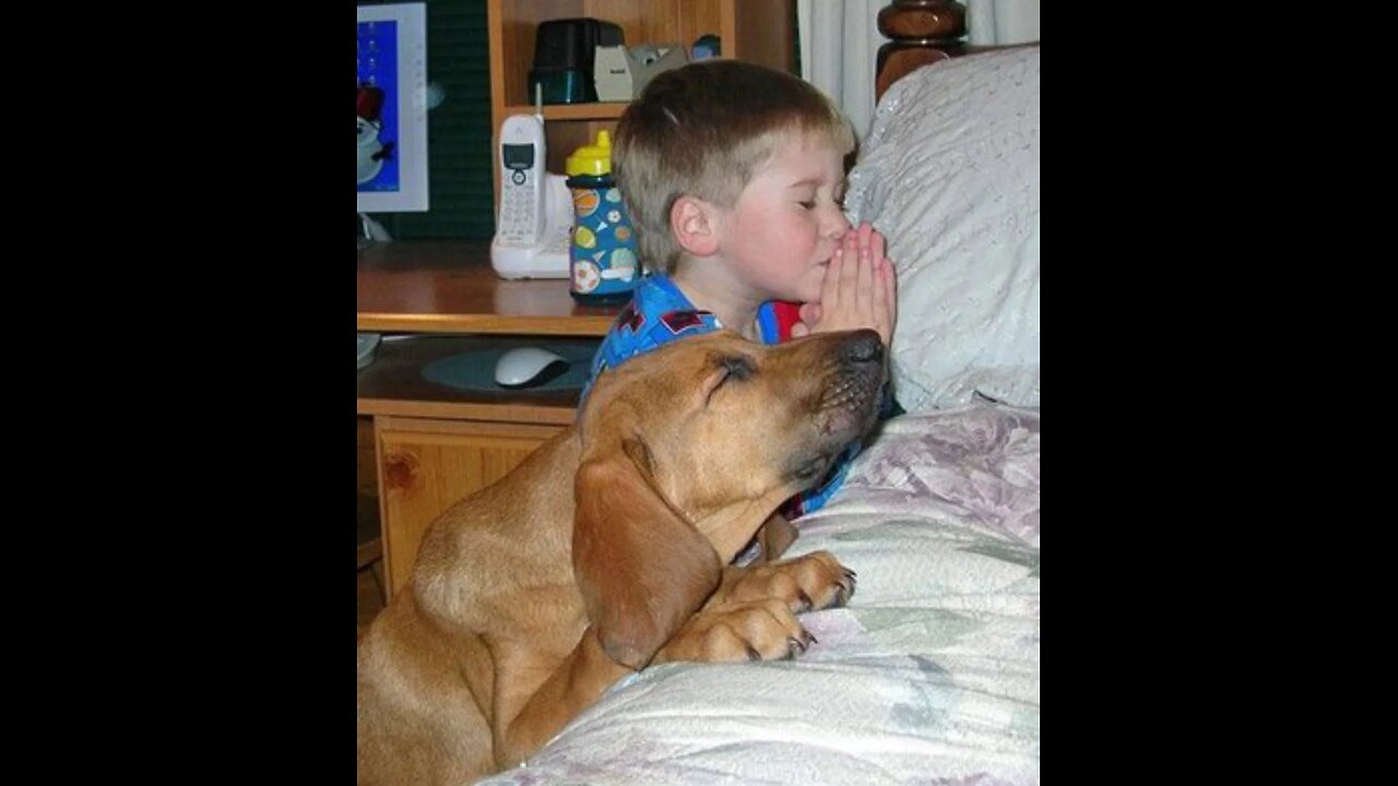 teddy swims -the door