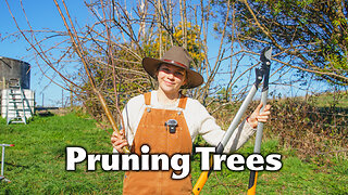 Pruning Fruit Trees On My 1/2 Acre Homestead