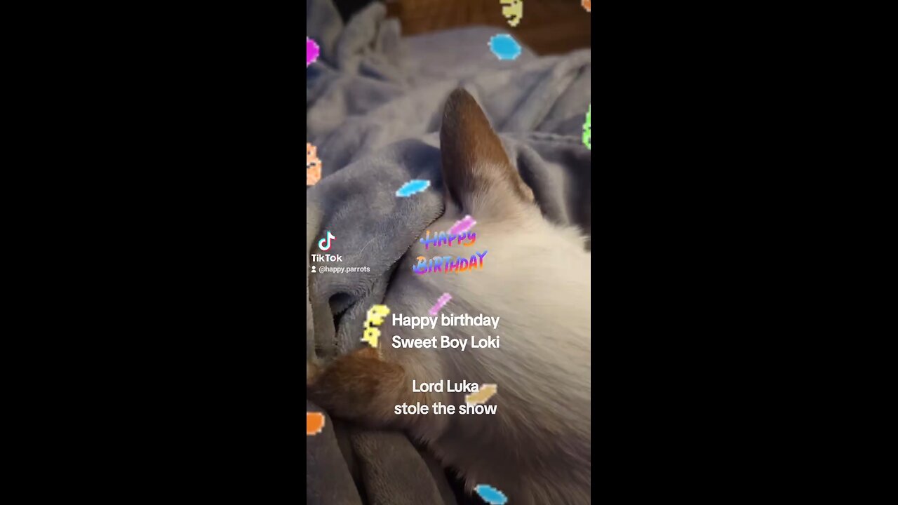 Lord Luka Stole The Show