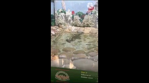 satisfying Video