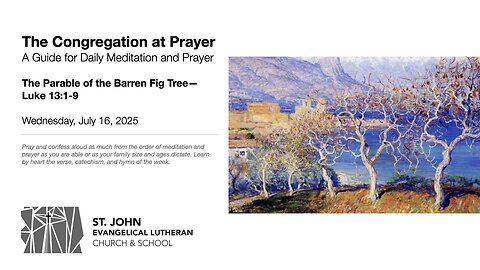 The Parable of the Barren Fig Tree—Luke 13:1-9