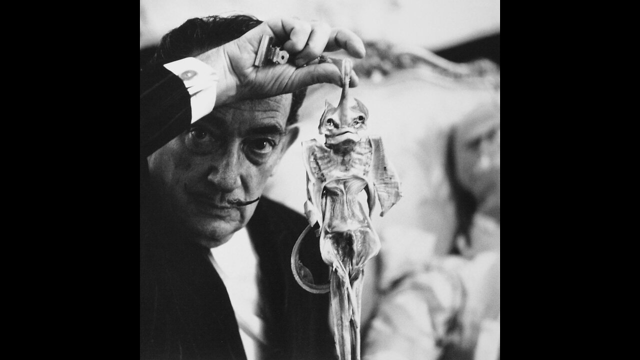 SHAPESHIFTING FUN •~&~• SEE DESCRIPTION