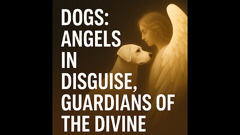Dogs: Angels in Disguise, Guardians of the Divine