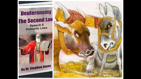 Deut 2ª Ley DISCURSO 6, 9-10: LAS UNIONES ILEGALES / LA LEY D BORLAS FLECOS O ẒI ẒIT, Stephen Jones