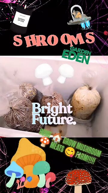 SPACE MONKEY 🐒 🧪 grown meat's