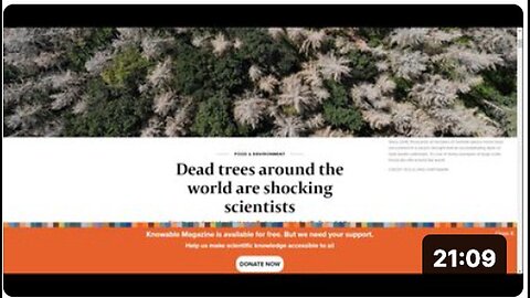 Global Loss of Hundreds of Millions, Even Billions, of Trees: Reasons and Implications