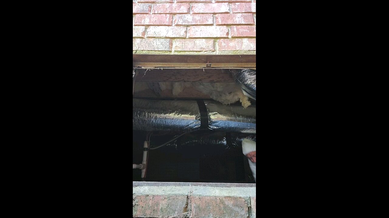 crawlspace fashion