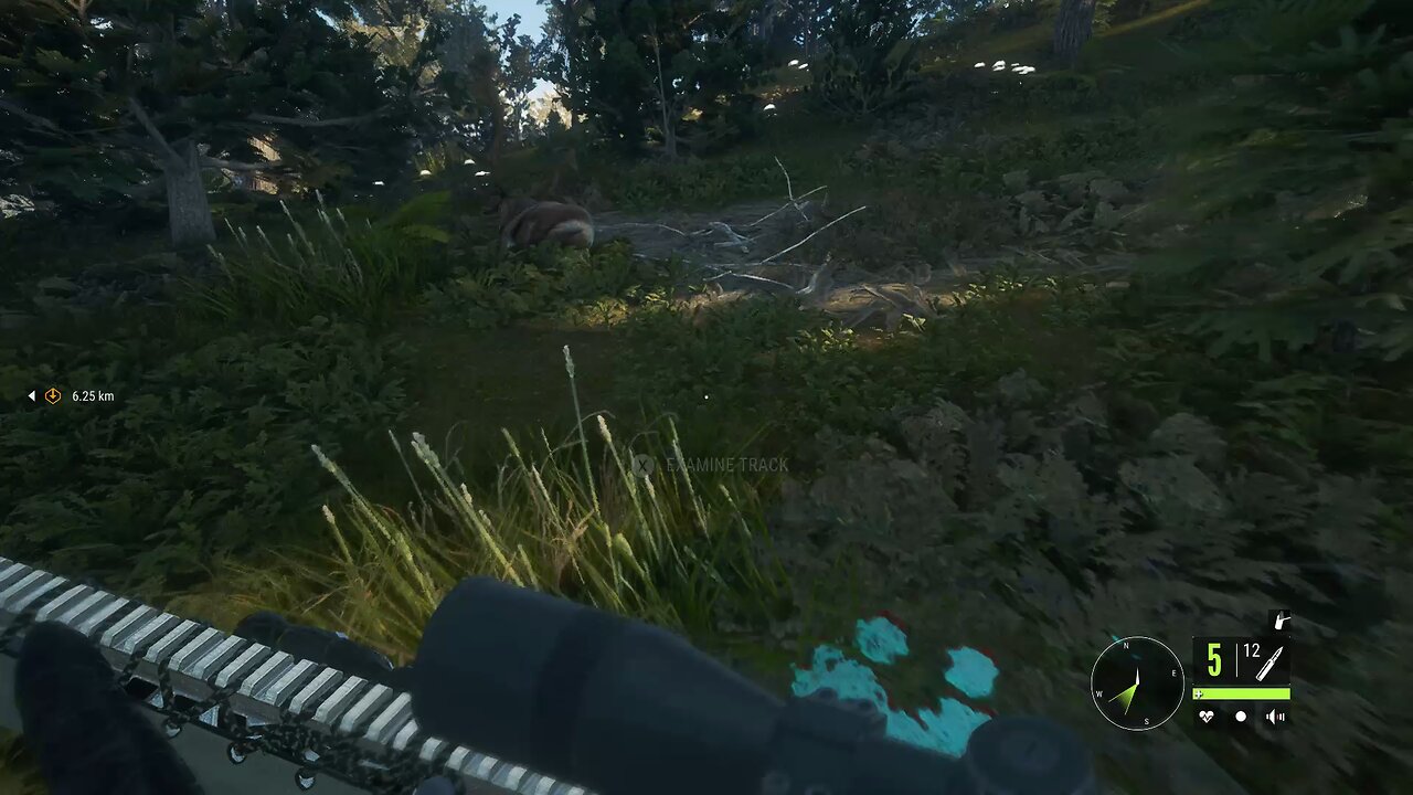 Call of the Wild! #cotw #callofthewild #thehunter #gameplay #hunting #tcmedia2 (6)