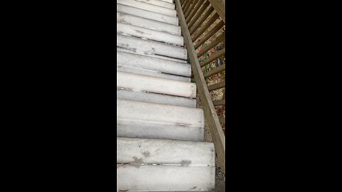 Everything is frozen