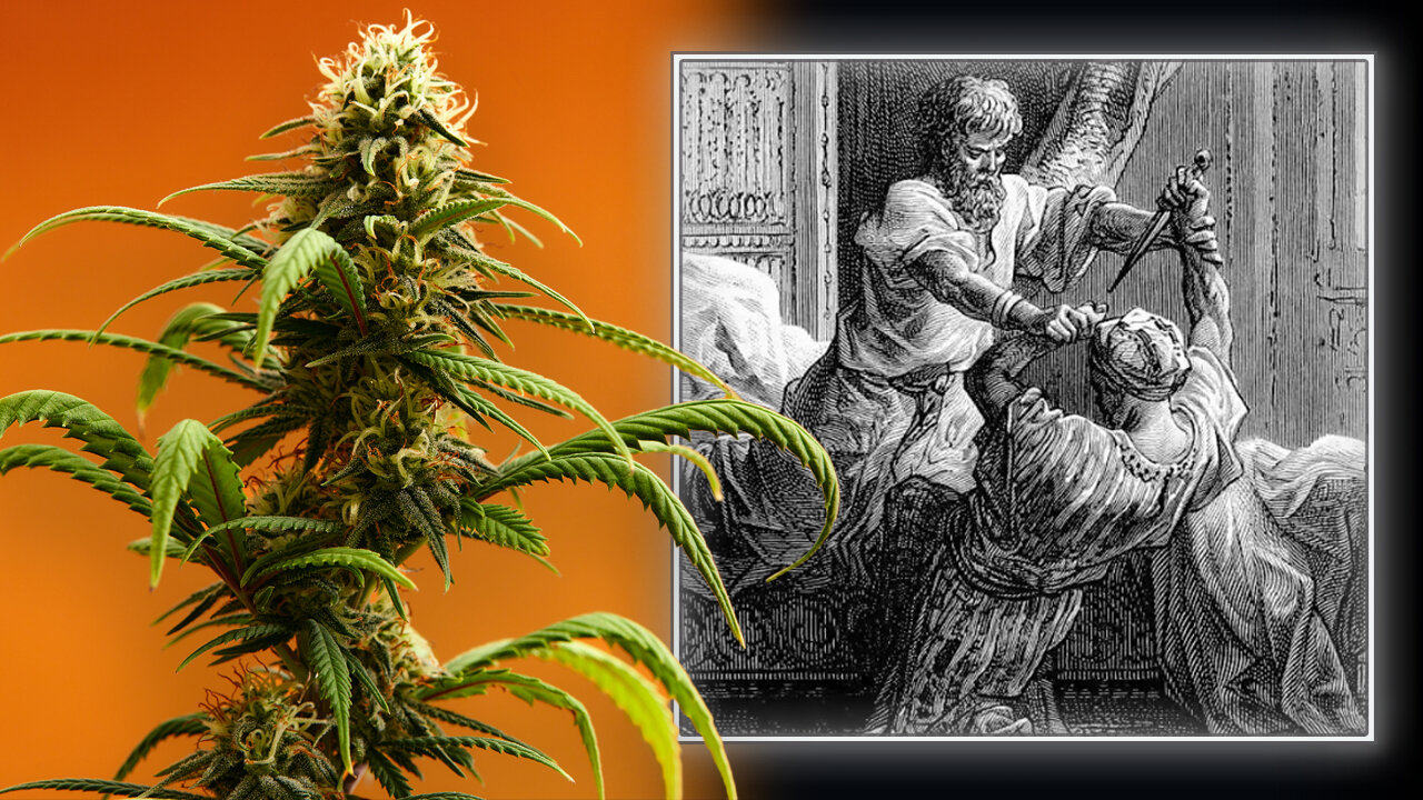 EXCLUSIVE: Michael Savage Exposes The Secret History Of Marijuana & The Hashish