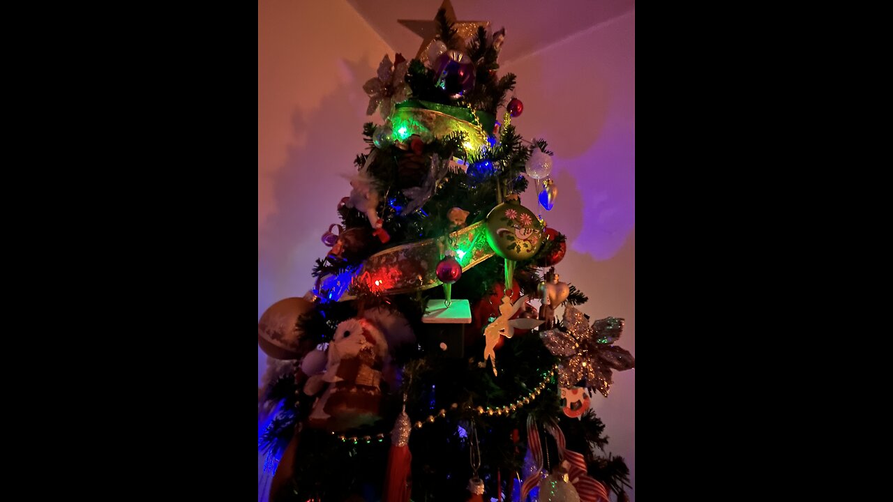 ✨Merry Christmas! 🌲💫