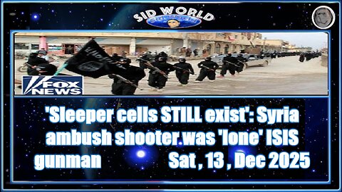 Sleeper cells STILL exist _ Syria ambush shooter was lone ISIS gunman