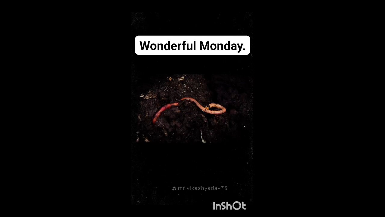 enjoy earthworm 🪱😄.##earthworm🪱🪱.