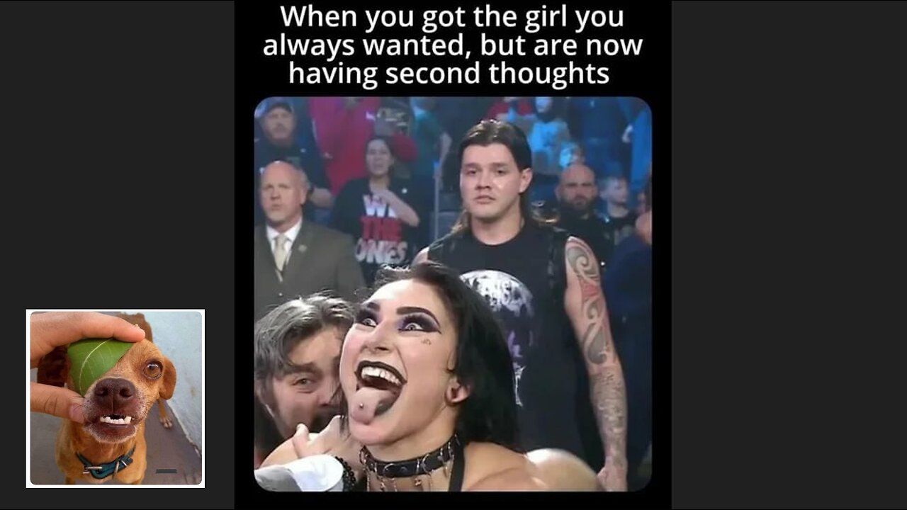 Meme compilation Episodes 231-235.