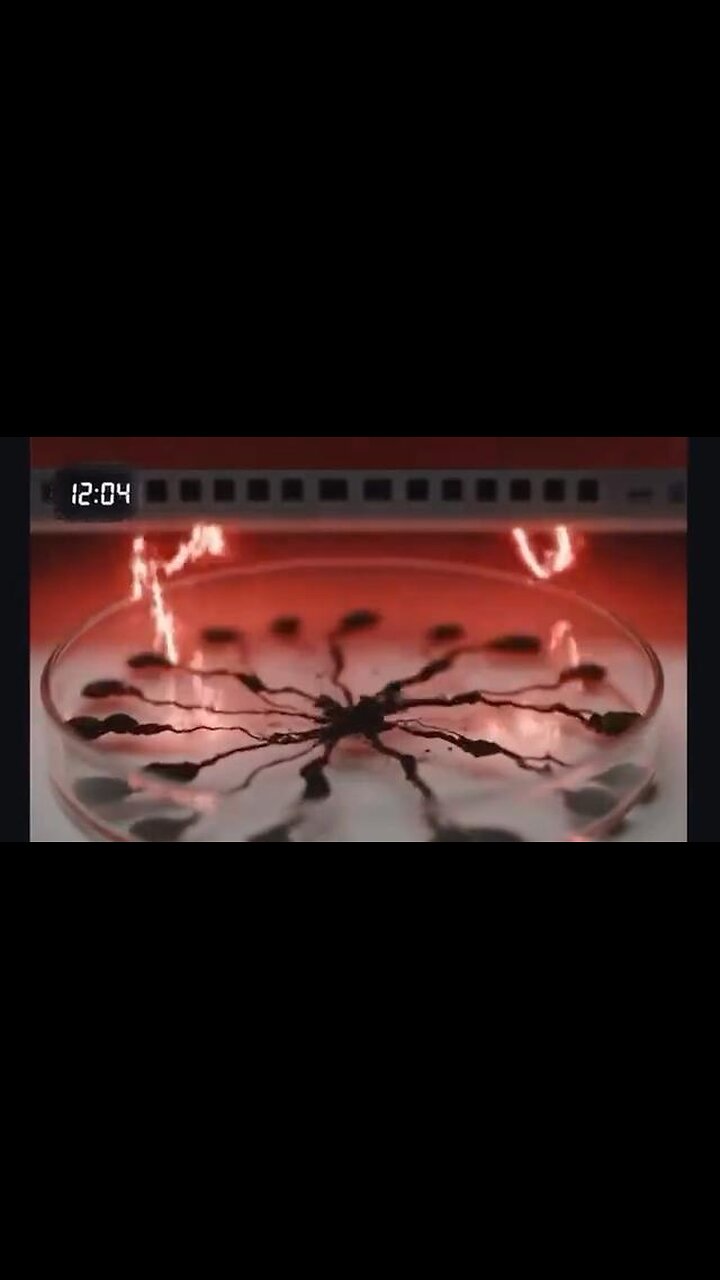 What happens when you put mold under a WiFi Router for 24 Hours