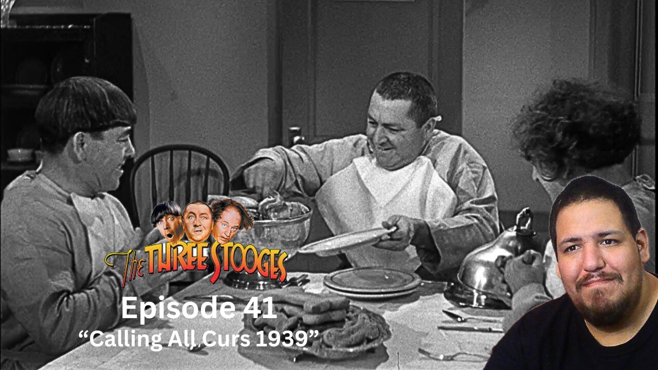 The Three Stooges | Episode 41 | "Calling All Curs 1939" | Reaction