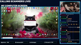 SHORT STREAM! Telling scammers that I got the refund, again!