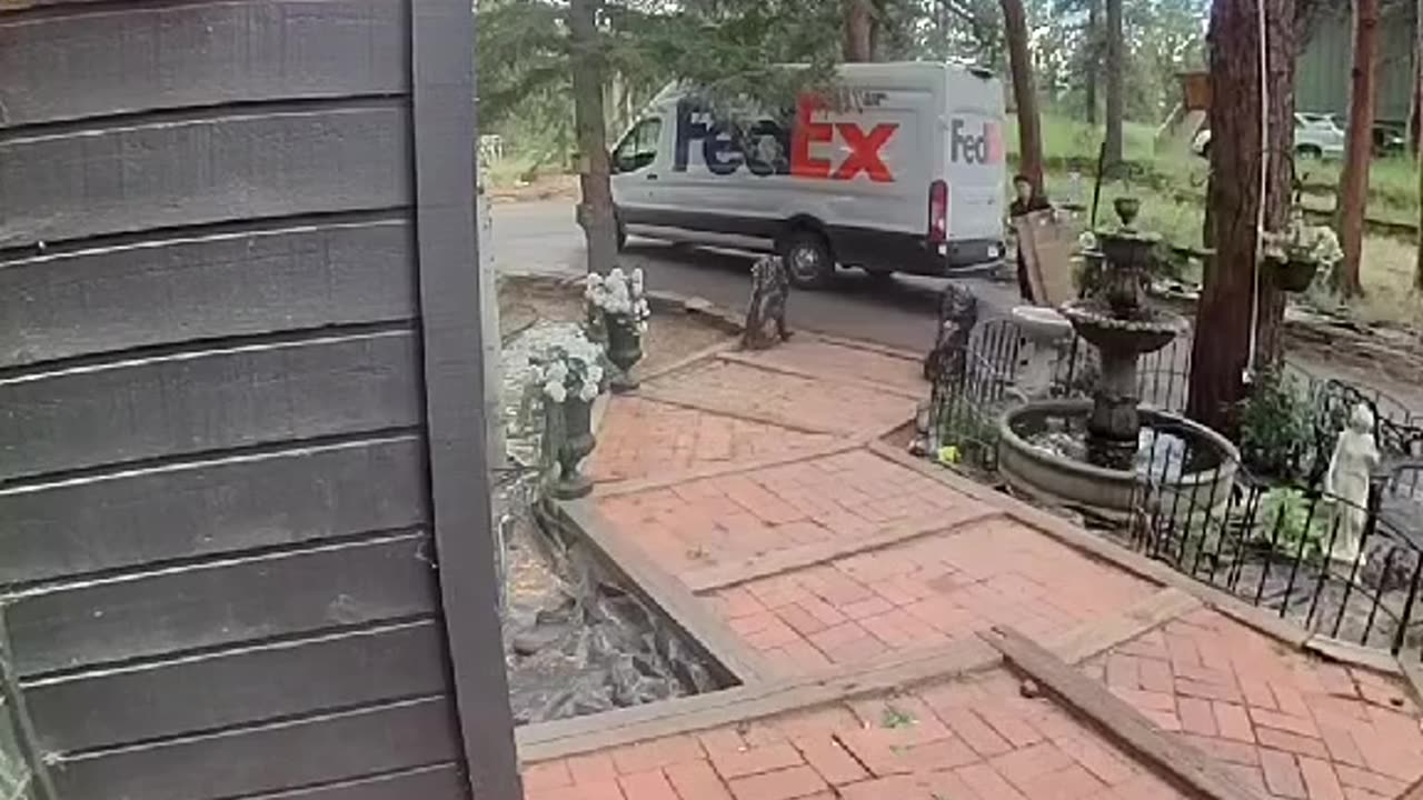Bear Does Quality Control Inspections on Porch Delivery