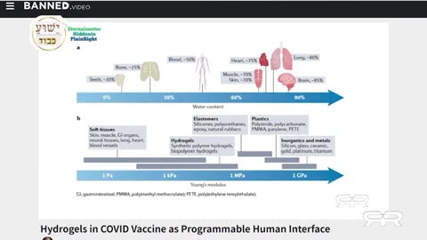 COVID-19 VACCINE is mark of the 666 beast
