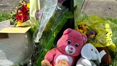 SHOT TO PIECES - VOL. 436: KENNY SMITH MURDERS HIS WIFE & BLOWS HIS BRAINS OUT