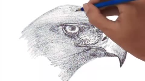 Head Of Eagle