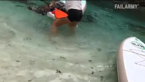 CRAZY 🤪 ANIMALS 🐻 Vs PEOPLE 💃👶🕺