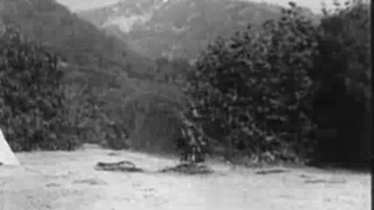 The Paleface (1922)