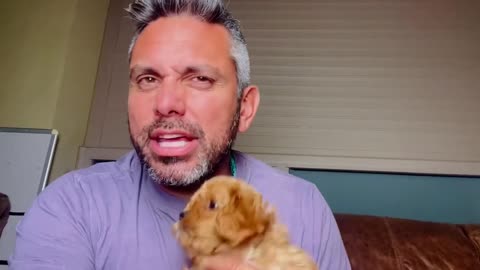 (Day 583) Swords of Iron - “Hamxs has agreed to release a 🇺🇸🇮🇱 Hostage”