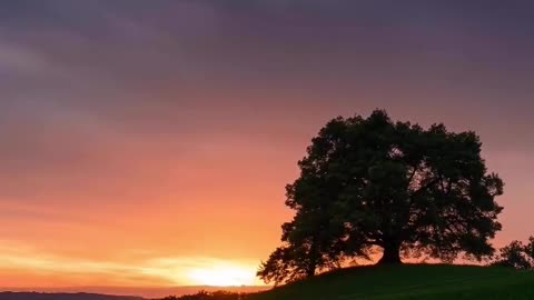 Sky's Fiery: Sunset Journey 🌅