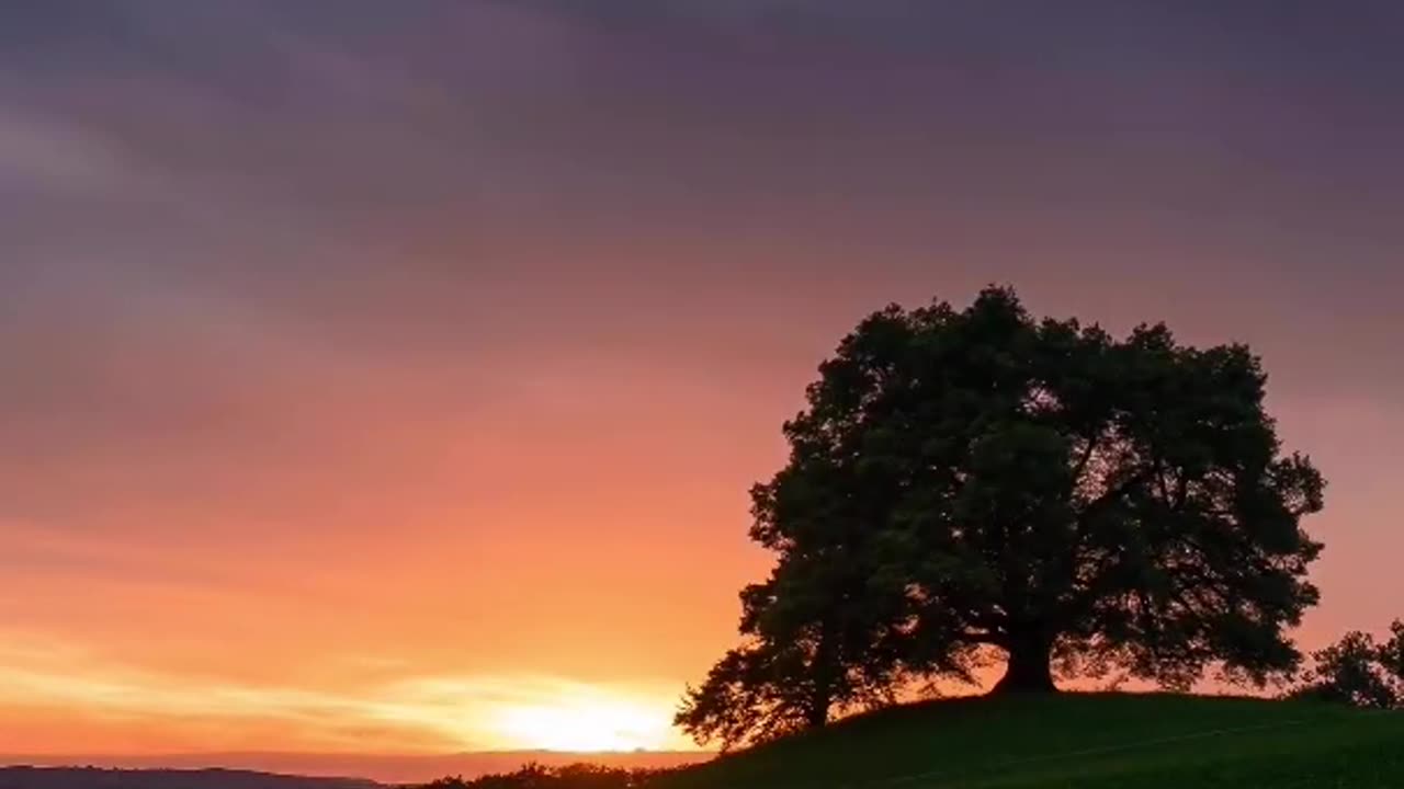 Sky's Fiery: Sunset Journey 🌅