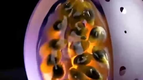 ASMR Cutting fruit. Glass